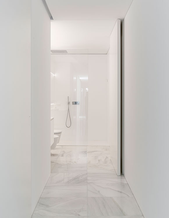 Vista de una puerta suelo techo pivotante como acceso a un cuarto de baño